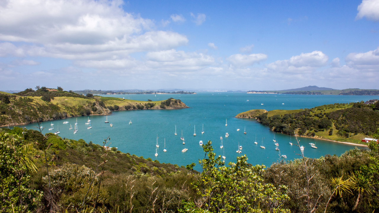 Waiheke Island