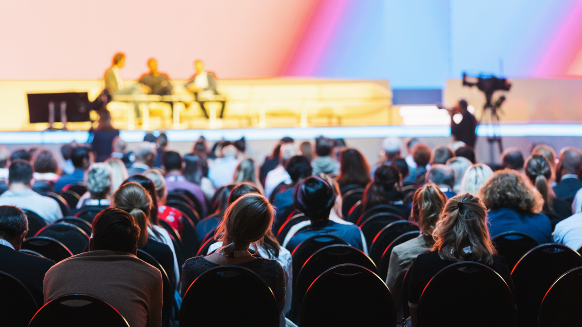 Conferences at NZICC – World-Class Events in Auckland