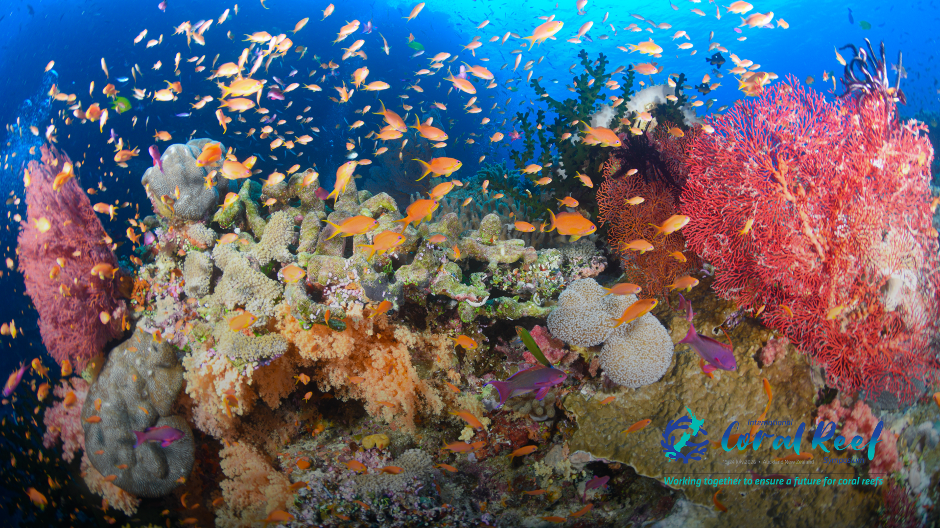 International Coral Reef Symposium